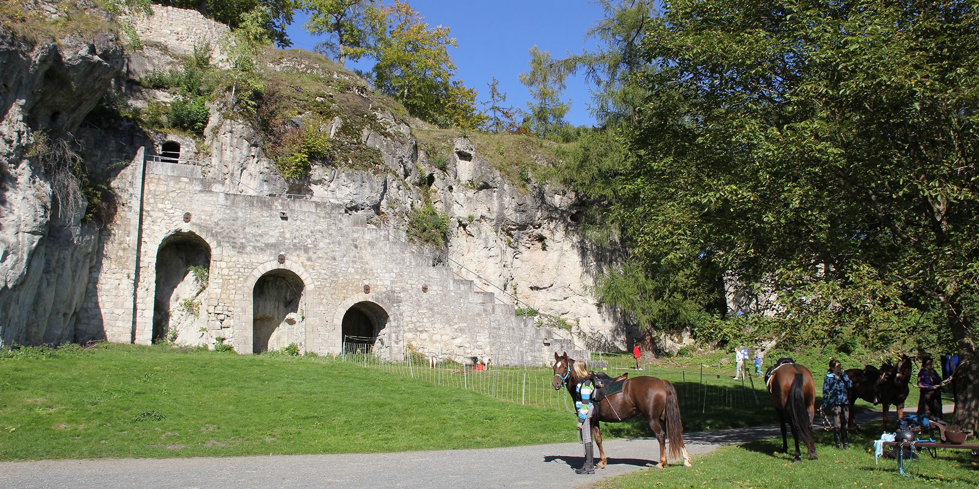 Burguine Scharzfeld